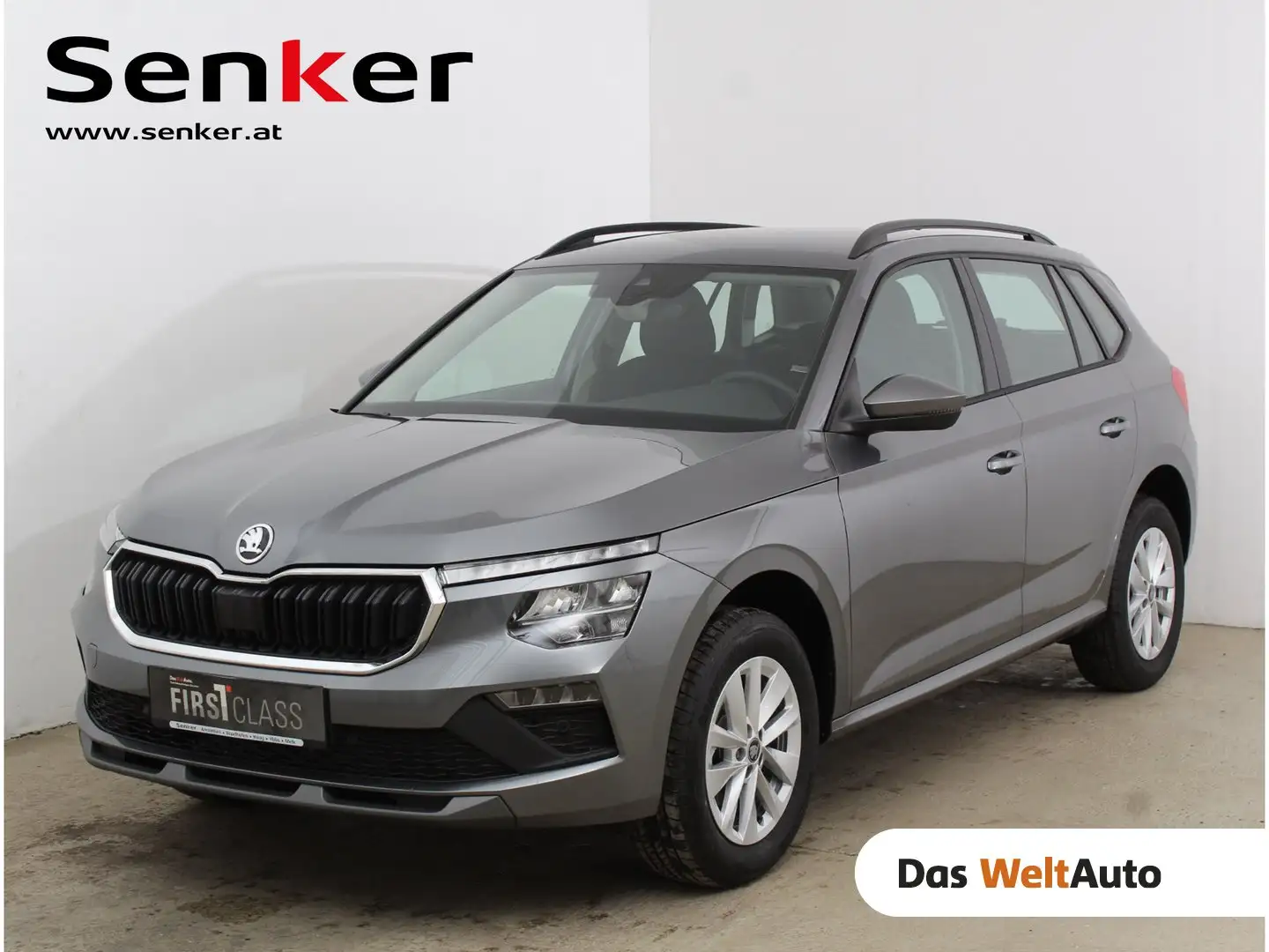 Skoda Kamiq Selection TSI DSG Grau - 1