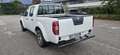 Nissan Navara DOPPIA CABINA 2.5TD 145HP 4 POSTI Blanc - thumbnail 14