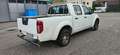 Nissan Navara DOPPIA CABINA 2.5TD 145HP 4 POSTI Blanc - thumbnail 5