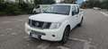 Nissan Navara DOPPIA CABINA 2.5TD 145HP 4 POSTI Blanc - thumbnail 2
