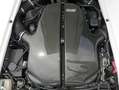 Wiesmann MF 5 GT*20th Anniversary*Brembo*Flat White*Airbo Blanc - thumbnail 14