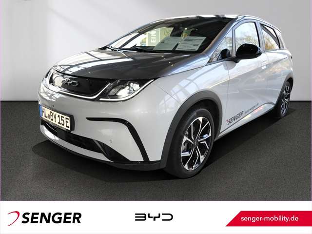 Imagine BYD Dolphin Design Panorama 360°-Kamera Keyless LED