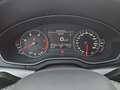 Audi Q5 Q5 2.0 TDI 190 CV quattro S tronic Sport Grigio - thumbnail 13