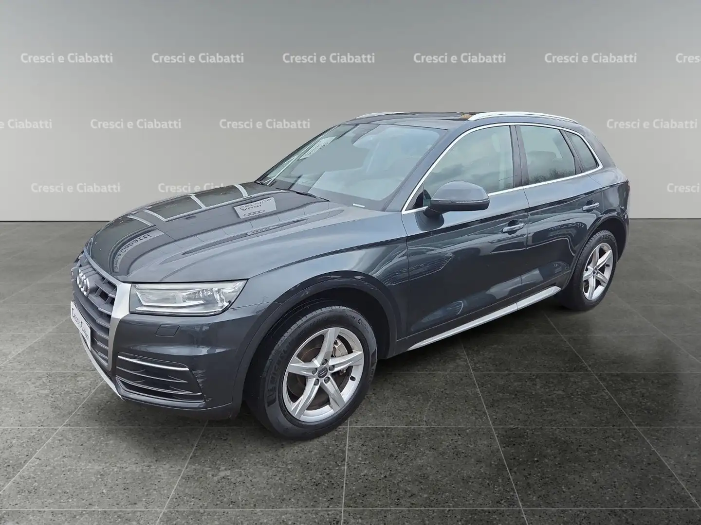 Audi Q5 Q5 2.0 TDI 190 CV quattro S tronic Sport Grigio - 1