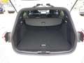 Ford Focus Turnier 115PS Diesel/Automatik 1,5 EcoBlue ST-L... Weiß - thumbnail 9