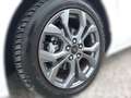 Ford Focus Turnier 115PS Diesel/Automatik 1,5 EcoBlue ST-L... Weiß - thumbnail 8
