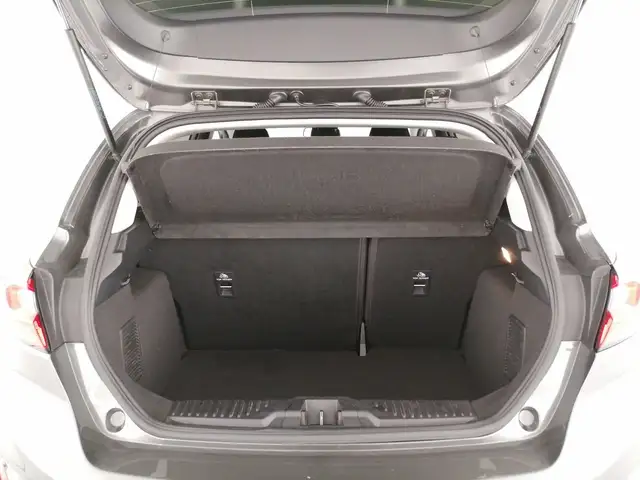 Ford Fiesta view 10