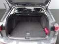 Volkswagen Golf Variant 1.5 eTSI LIFE ACC AHK Navi SHZ PDC Grau - thumbnail 12