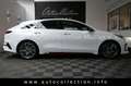 Kia ProCeed / pro_cee'd ProCeed GT*Pano*Kamera*ACC*TWA*LED*PLA*DAB*Navi* Wit - thumbnail 3