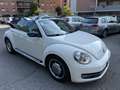 Volkswagen Maggiolino Cabrio 1.4 tsi Sport 160cv dsg - thumbnail 1