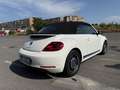 Volkswagen Maggiolino Cabrio 1.4 tsi Sport 160cv dsg - thumbnail 13