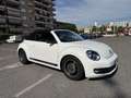 Volkswagen Maggiolino Cabrio 1.4 tsi Sport 160cv dsg - thumbnail 14