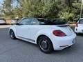 Volkswagen Maggiolino Cabrio 1.4 tsi Sport 160cv dsg - thumbnail 3