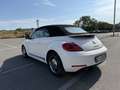 Volkswagen Maggiolino Cabrio 1.4 tsi Sport 160cv dsg - thumbnail 12