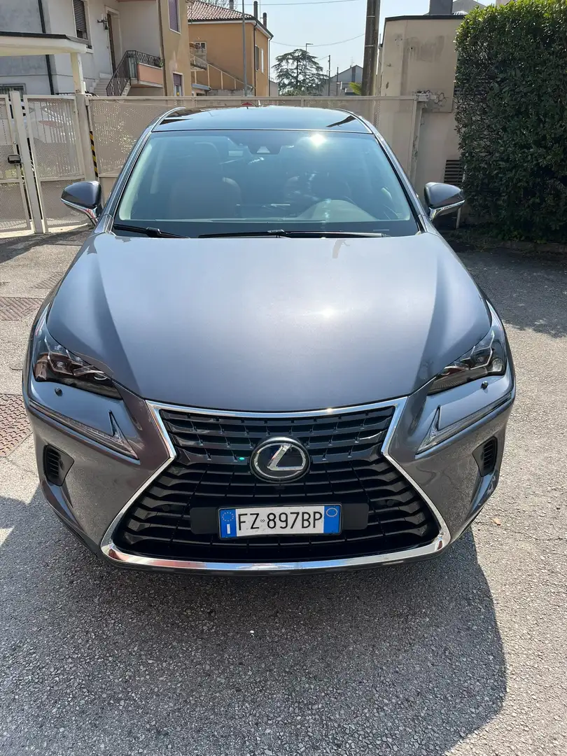 Lexus NX 300 NX 300h 2.5 Luxury 4wd cvt Grijs - 1