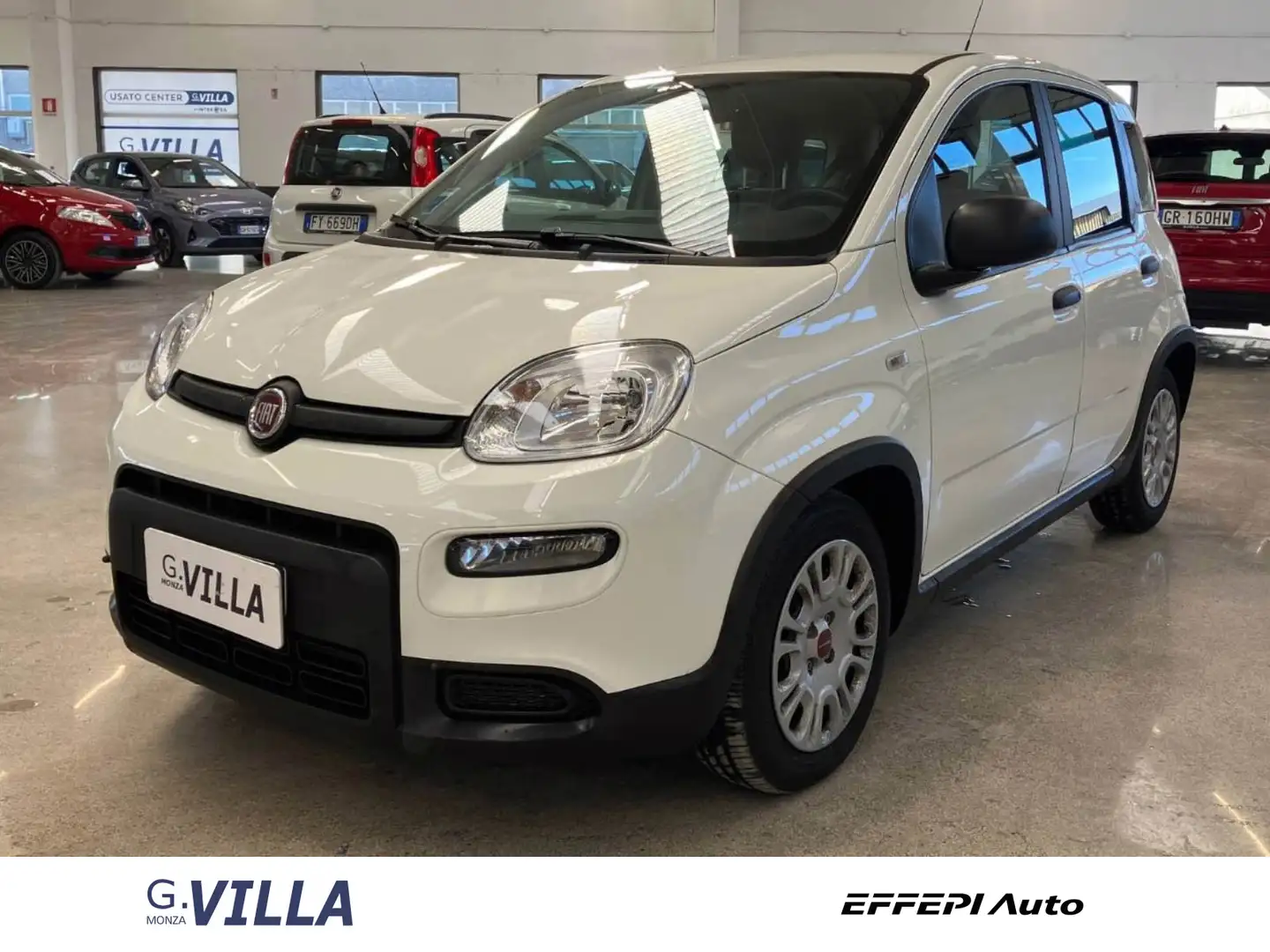 Fiat Panda NUOVA VAN Van My21 Pop 1.0 Hybrid70 Cv S&S Euro 6 Bianco - 1