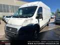 Fiat Ducato Maxi Grossr.-Kasten 35 180 Power L5 CAM 3-Sitz. Mo Blanc - thumbnail 1