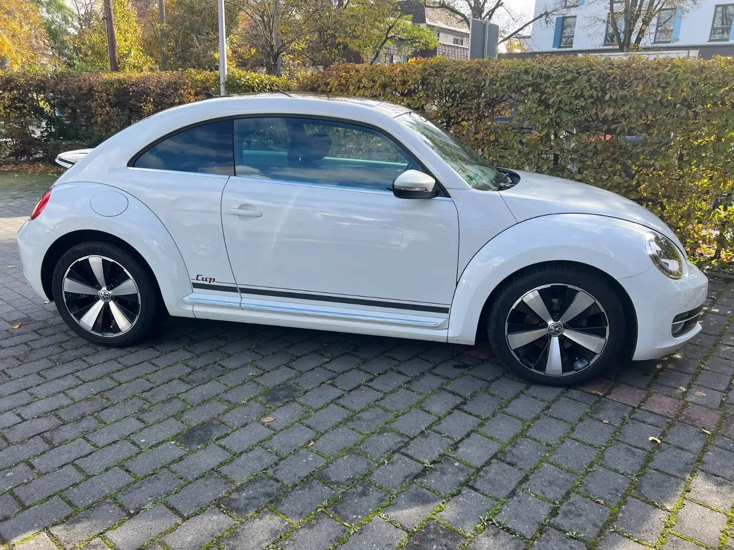 Volkswagen Beetle Lim. Cup~1.Hand Blanc - 2