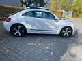 Volkswagen Beetle Lim. Cup~1.Hand Blanc - thumbnail 4