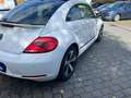 Volkswagen Beetle Lim. Cup~1.Hand Blanc - thumbnail 6