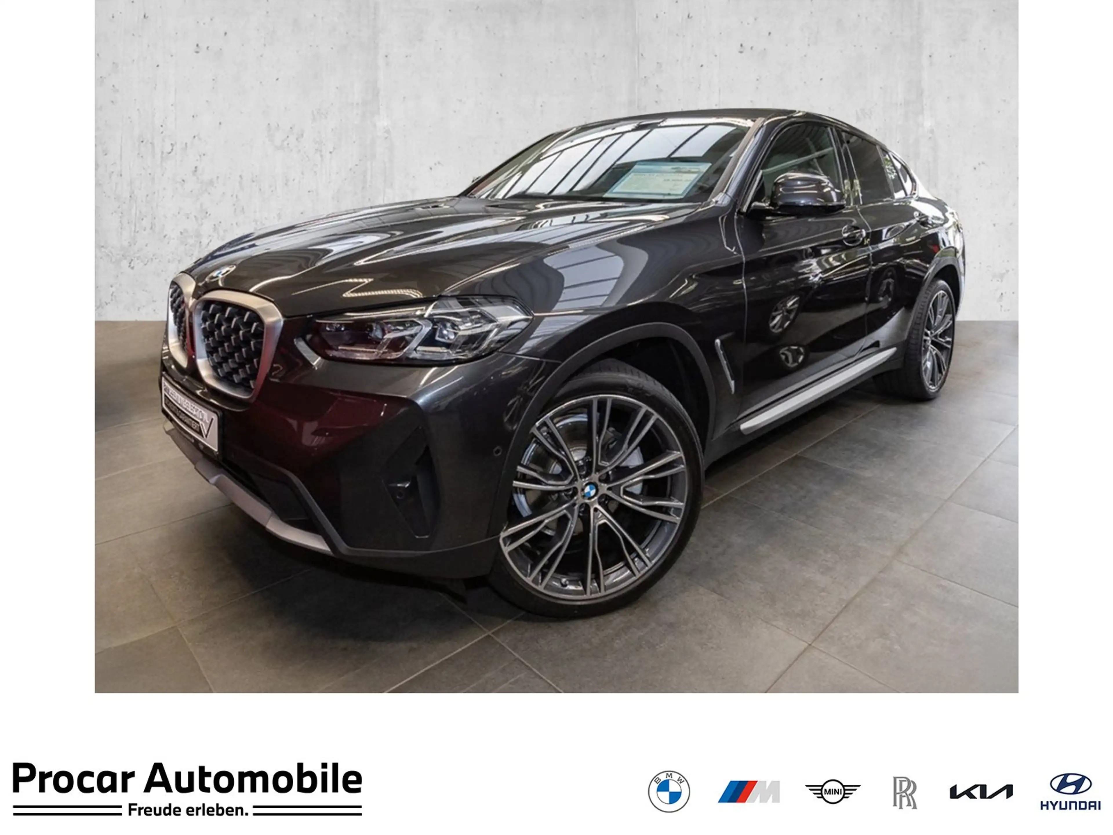 BMW X4 xDrive20d RFK NAVI LED Sound Syst. PDC V+H