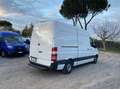Mercedes-Benz Sprinter 313 cdi F 37 33 Executive E5b +iva Bianco - thumbnail 6