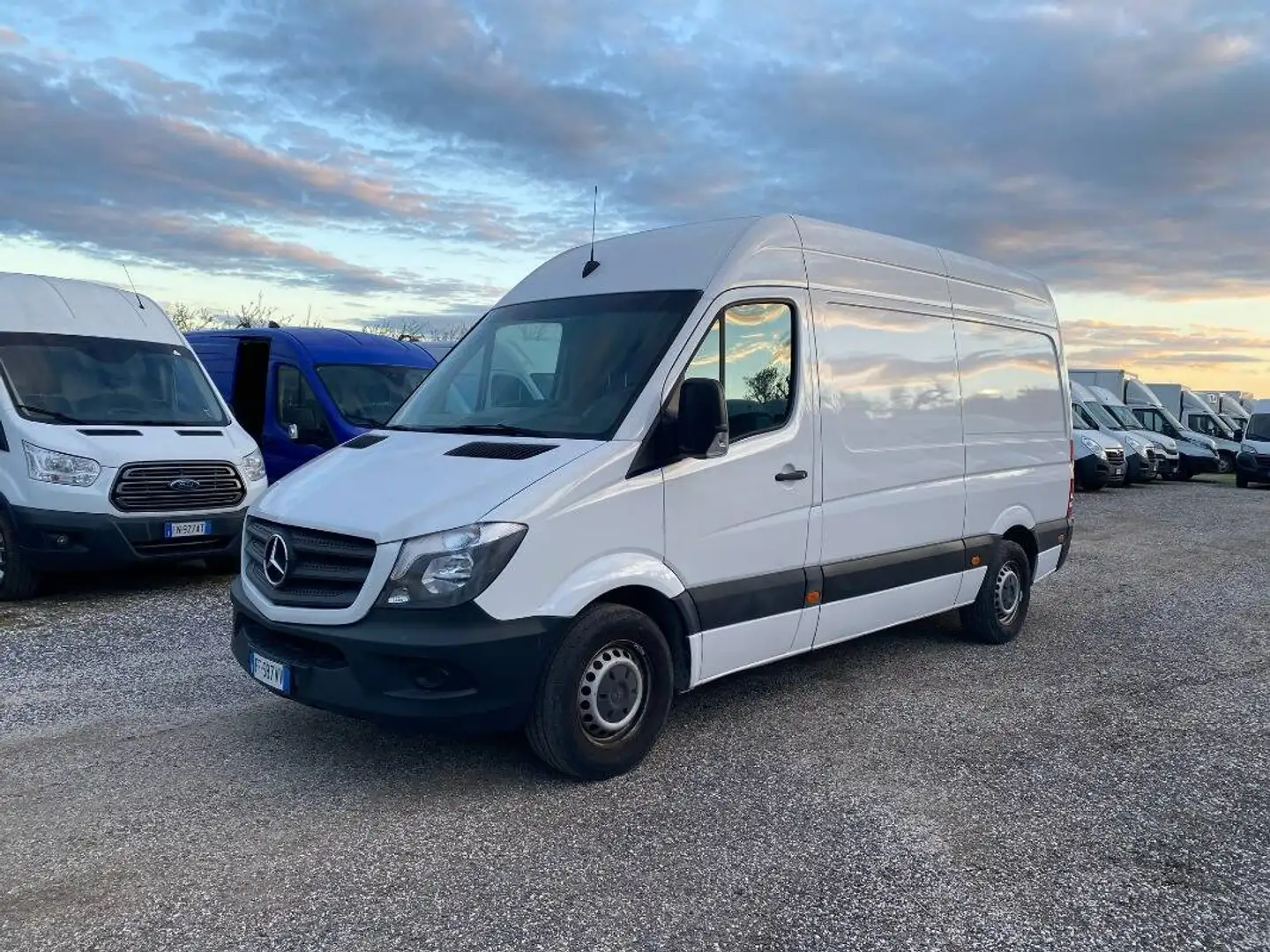 Mercedes-Benz Sprinter 313 cdi F 37 33 Executive E5b +iva Bianco - 2