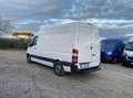 Mercedes-Benz Sprinter 313 cdi F 37 33 Executive E5b +iva Bianco - thumbnail 4