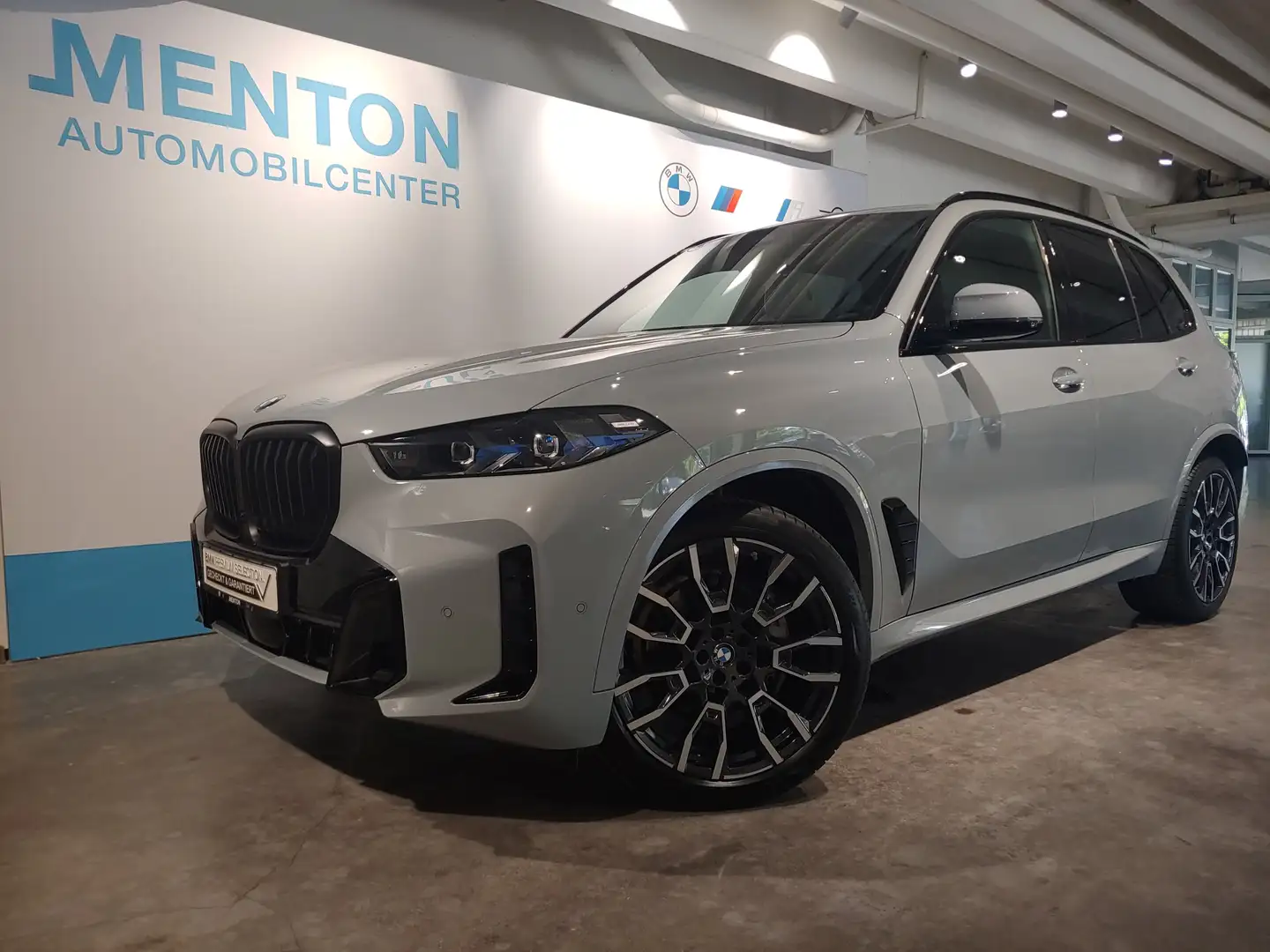 BMW X5 xDrive30d M Sportpaket HiFi DAB LED Shz Grau - 2