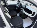 Fiat New Panda 1.0 70 cv Hybrid Pandina "SPOTICAR" Blanc - thumbnail 7