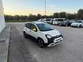Fiat New Panda 1.0 70 cv Hybrid Pandina "SPOTICAR" Blanc - thumbnail 6