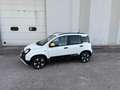 Fiat New Panda 1.0 70 cv Hybrid Pandina "SPOTICAR" Blanc - thumbnail 2