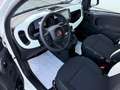 Fiat New Panda 1.0 70 cv Hybrid Pandina "SPOTICAR" Blanc - thumbnail 9
