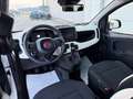 Fiat New Panda 1.0 70 cv Hybrid Pandina "SPOTICAR" Blanc - thumbnail 11