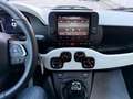 Fiat New Panda 1.0 70 cv Hybrid Pandina "SPOTICAR" Blanc - thumbnail 13