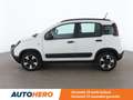 Fiat Panda 1.0 Mild-Hybrid City Cross Wit - thumbnail 2