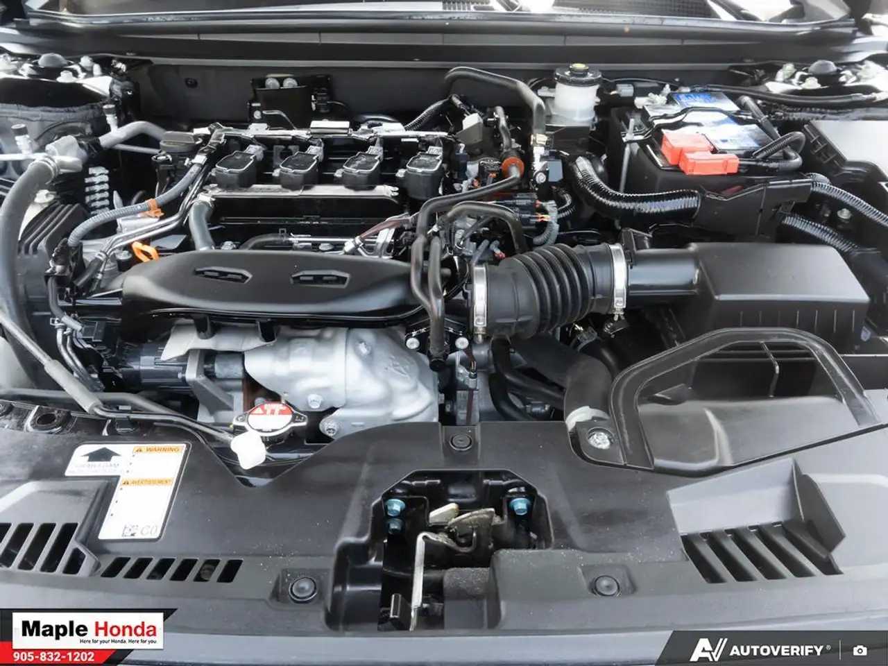 Honda Accord fotografie Honda Accord