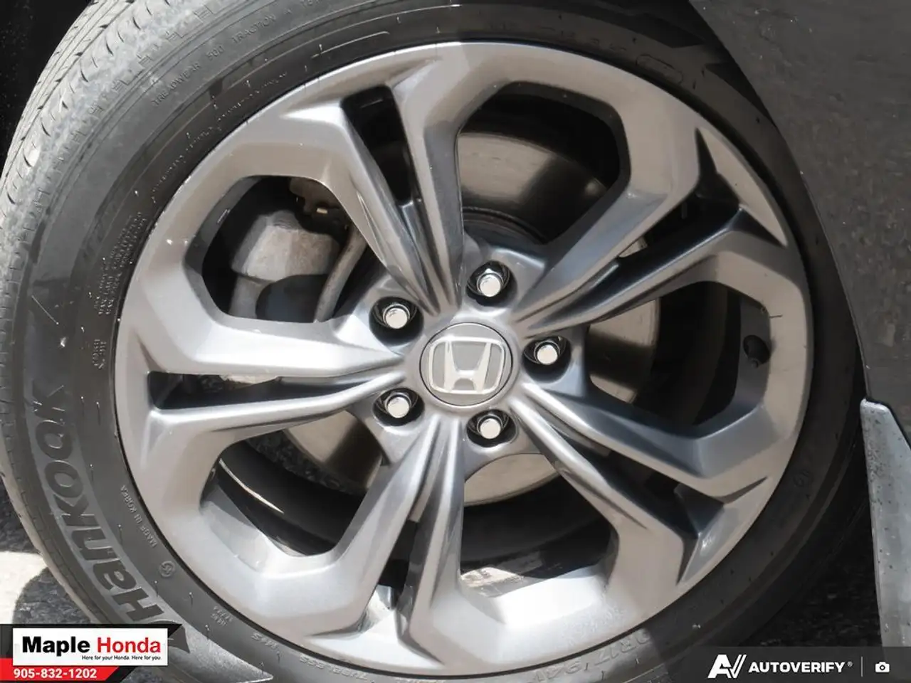 Honda Accord fotografie Honda Accord