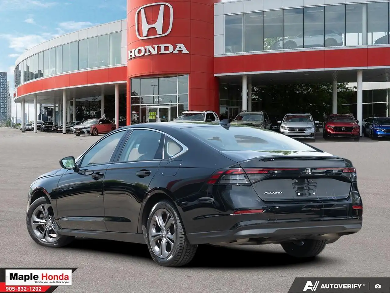 Honda Accord fotografie Honda Accord