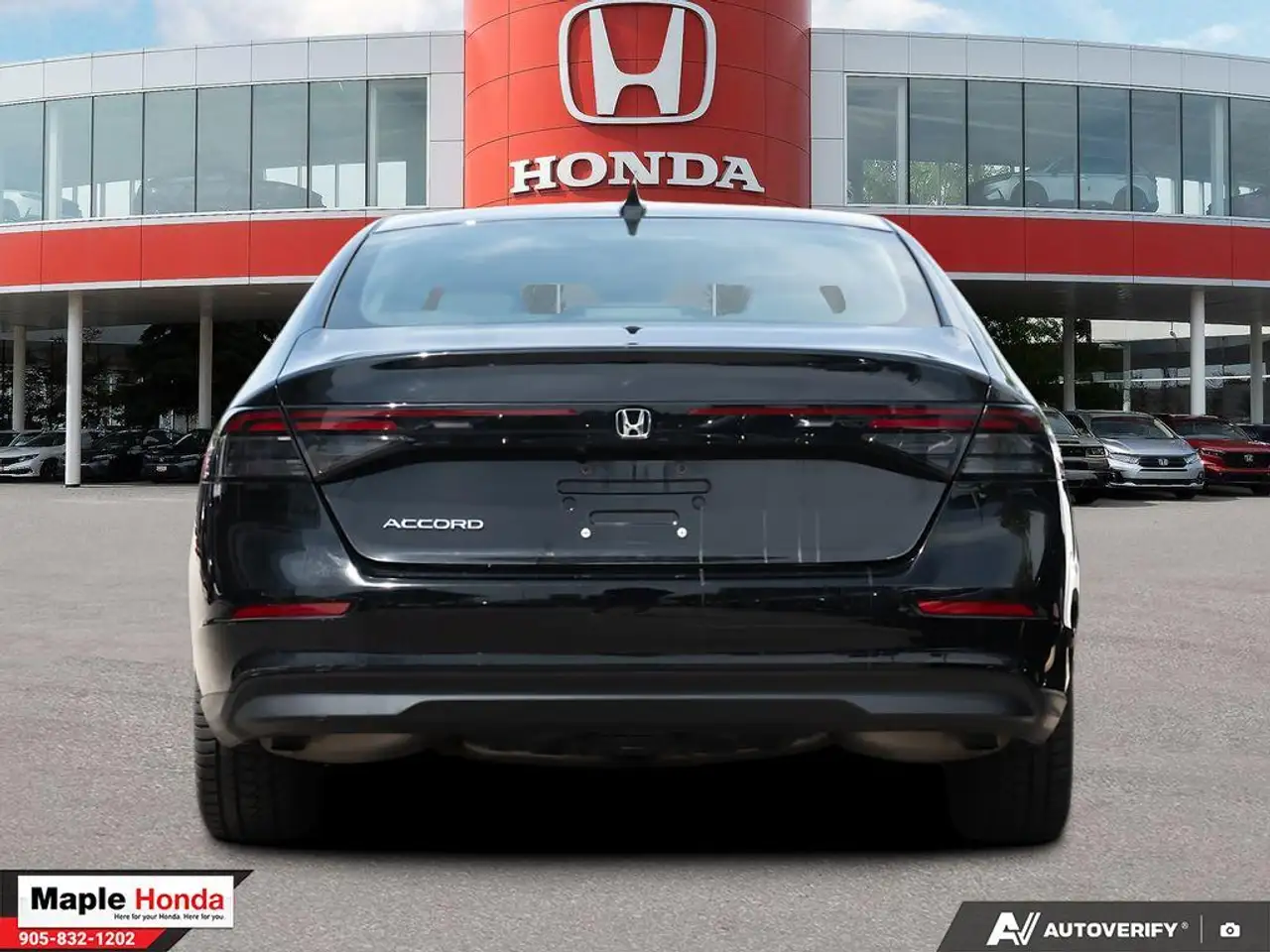 Honda Accord fotografie Honda Accord