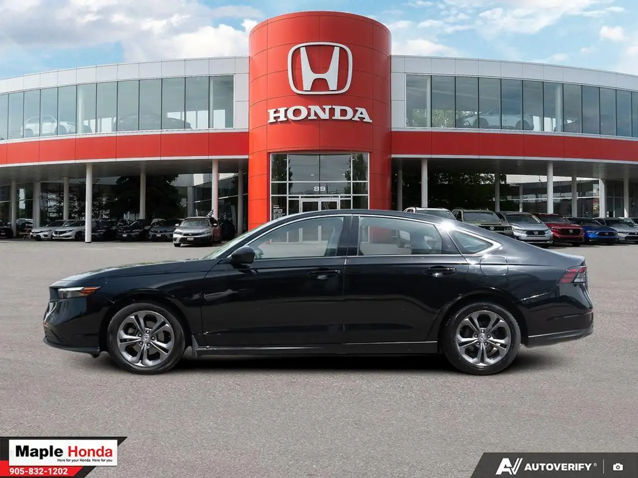 Honda Accord fotografie Honda Accord