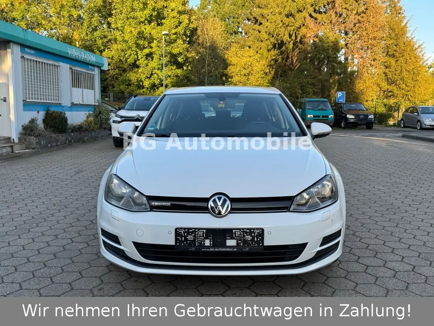 Volkswagen Golf VII Lim. Comfortline BlueMotion TGI*PDC* Weiß - 2