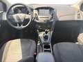 Ford Focus 1.5 Ecoboost Auto-S&S Titanium 150 Azul - thumbnail 12