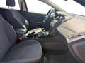 Ford Focus 1.5 Ecoboost Auto-S&S Titanium 150 Azul - thumbnail 18
