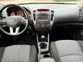 Kia Schwarz - thumbnail 7