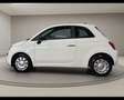 Fiat 500 (2015-2024) - 500 1.0 Hybrid Cult Bianco - thumbnail 9