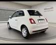 Fiat 500 (2015-2024) - 500 1.0 Hybrid Cult Bianco - thumbnail 8