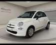 Fiat 500 (2015-2024) - 500 1.0 Hybrid Cult Bianco - thumbnail 2