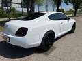 Bentley Continental GT Weiß - thumbnail 6
