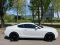 Bentley Continental GT Wit - thumbnail 4